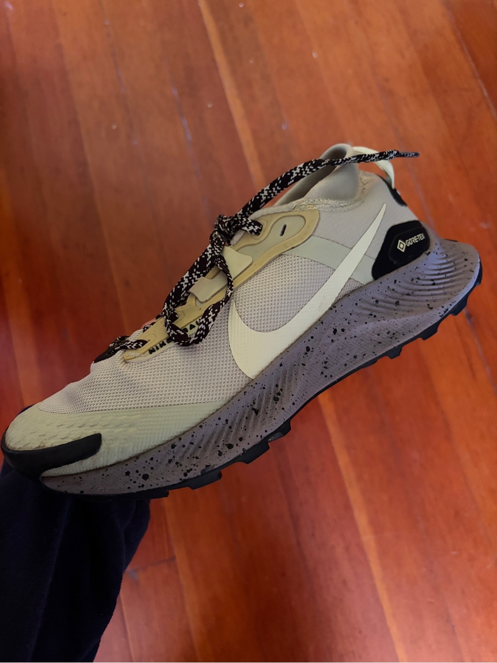 Nike Pegasus Trail 3 GORE-TEX